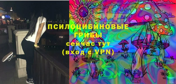 дмт Алексеевка