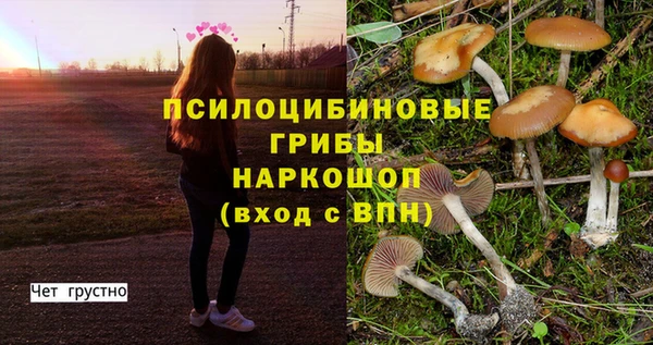 дмт Алексеевка