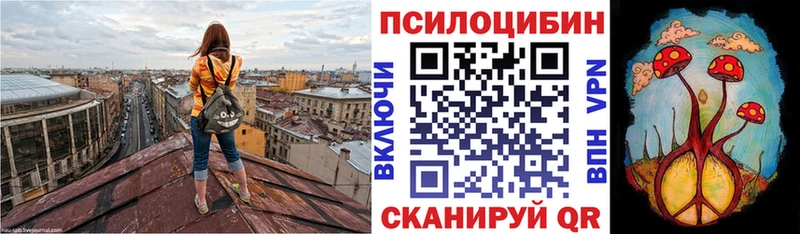 сколько стоит  сайты даркнета наркотические препараты  Галлюциногенные грибы мухоморы  Сенгилей 